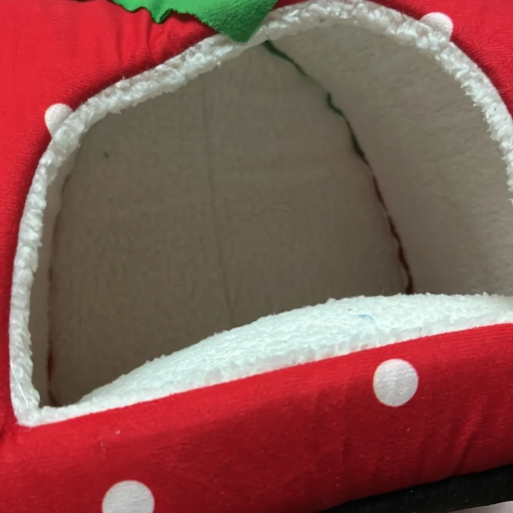 N/A strawberry pet